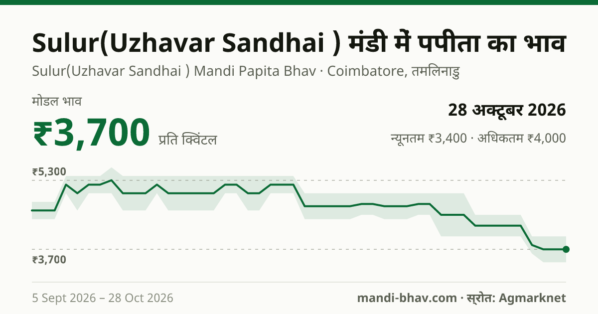 Sulur(Uzhavar Sandhai ) मंडी में पपीता का भाव 28 अक्टूबर 2026: मोडल ₹3,700 प्रति क्विंटल, भाव के रुझान का चार्ट