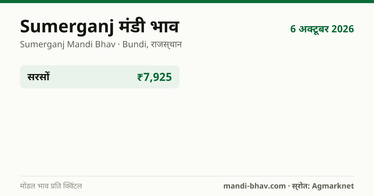 Sumerganj मंडी भाव 6 अक्टूबर 2026: फसलवार मोडल रेट प्रति क्विंटल