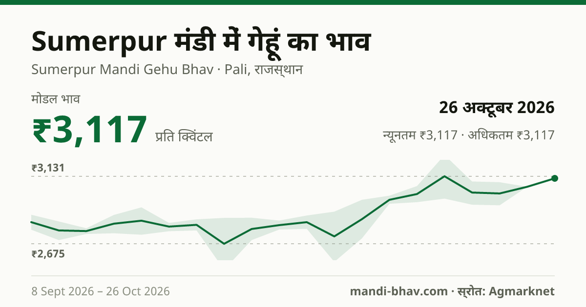 Sumerpur मंडी में गेहूं का भाव 26 अक्टूबर 2026: मोडल ₹3,117 प्रति क्विंटल, भाव के रुझान का चार्ट