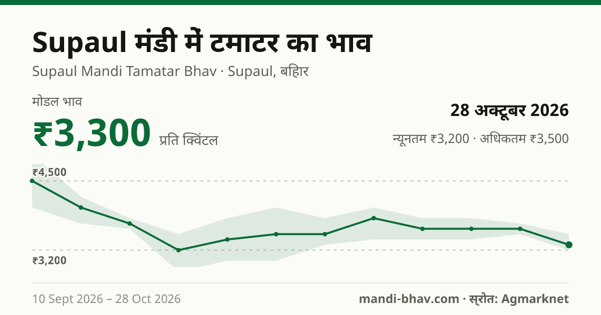 Supaul मंडी में टमाटर का भाव 28 अक्टूबर 2026: मोडल ₹3,300 प्रति क्विंटल, भाव के रुझान का चार्ट