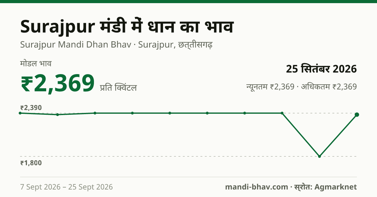 Surajpur मंडी में धान का भाव 25 सितंबर 2026: मोडल ₹2,369 प्रति क्विंटल, भाव के रुझान का चार्ट