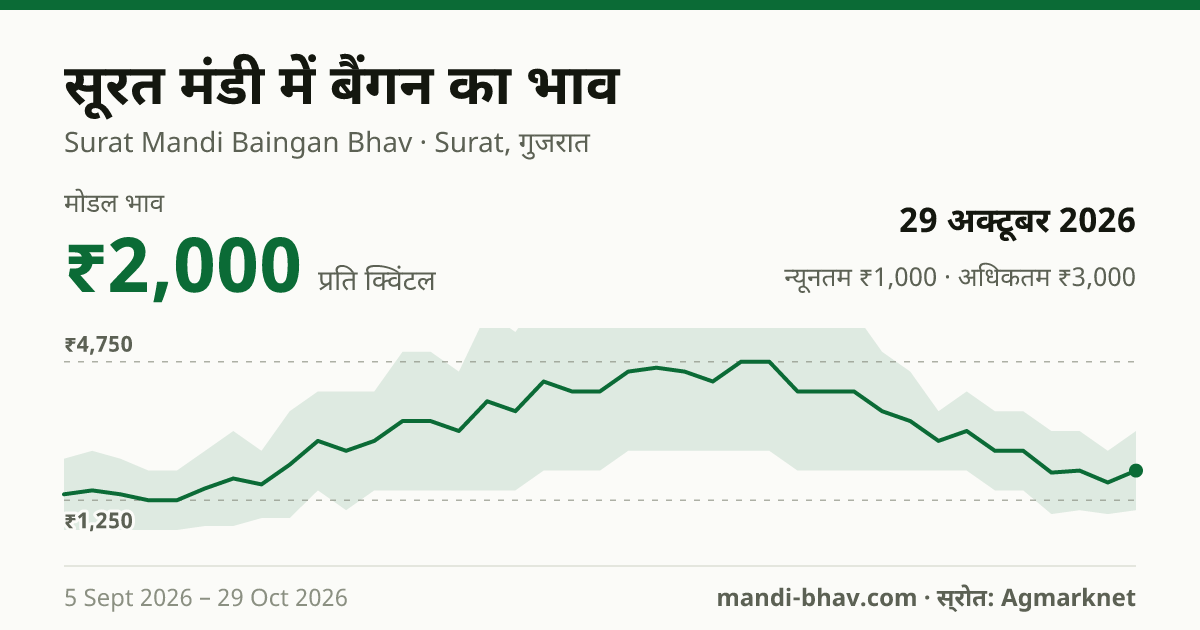 सूरत मंडी में बैंगन का भाव 29 अक्टूबर 2026: मोडल ₹2,000 प्रति क्विंटल, भाव के रुझान का चार्ट