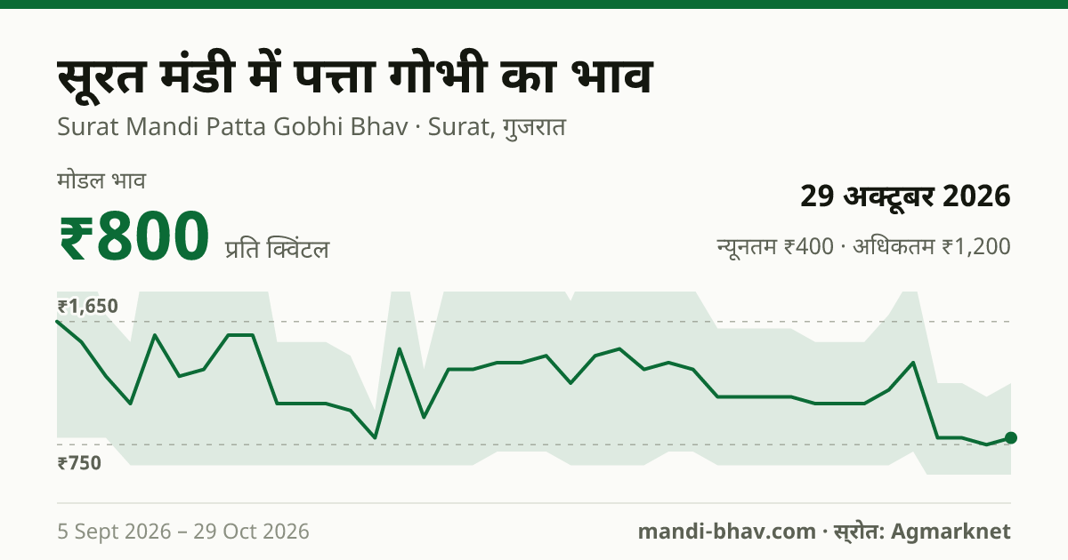 सूरत मंडी में पत्ता गोभी का भाव 29 अक्टूबर 2026: मोडल ₹800 प्रति क्विंटल, भाव के रुझान का चार्ट