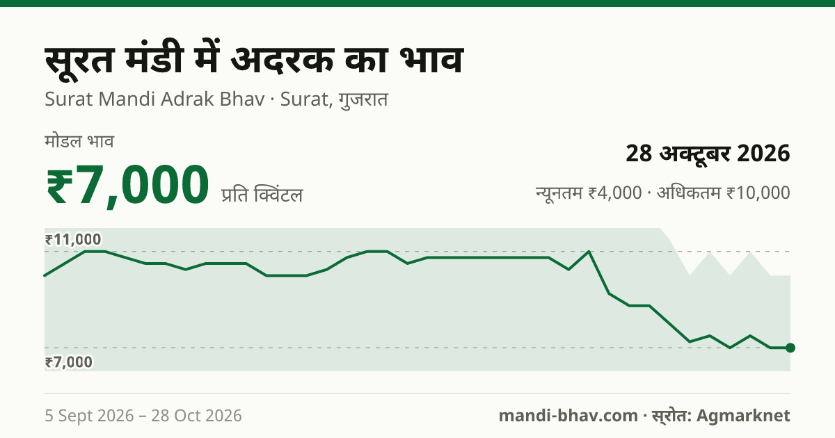 सूरत मंडी में अदरक का भाव 28 अक्टूबर 2026: मोडल ₹7,000 प्रति क्विंटल, भाव के रुझान का चार्ट