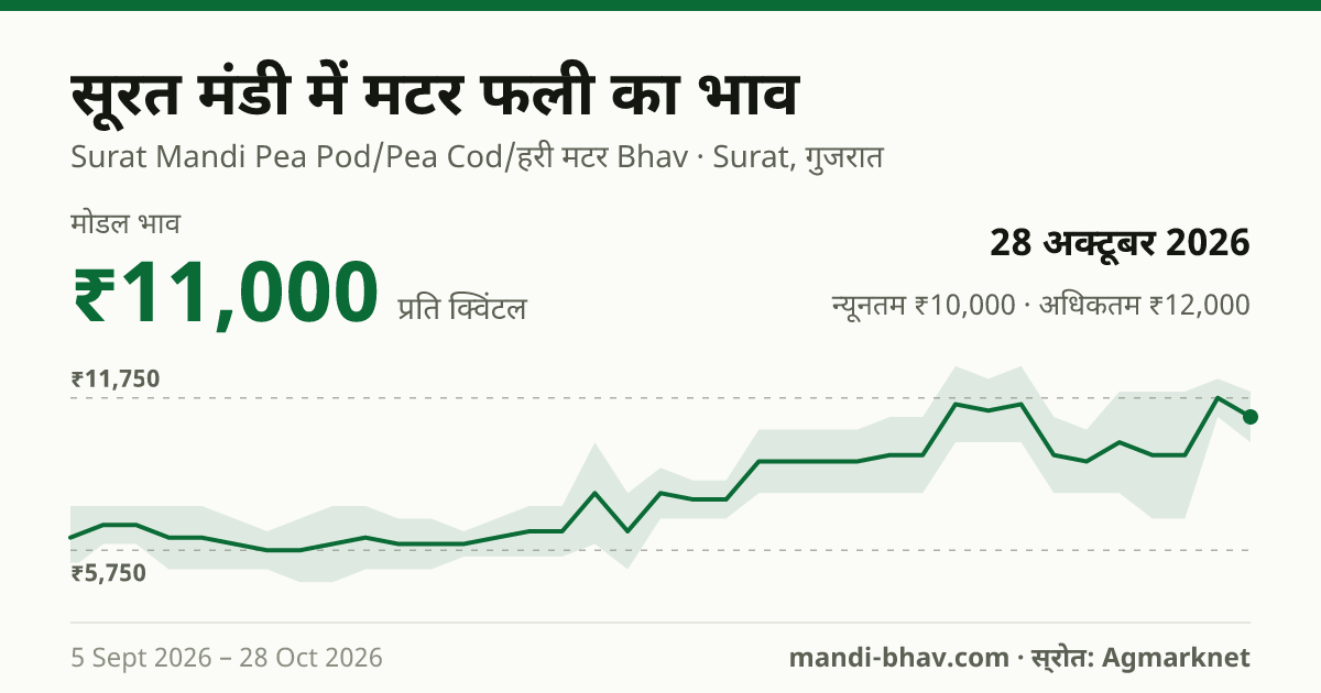 सूरत मंडी में मटर फली का भाव 28 अक्टूबर 2026: मोडल ₹11,000 प्रति क्विंटल, भाव के रुझान का चार्ट