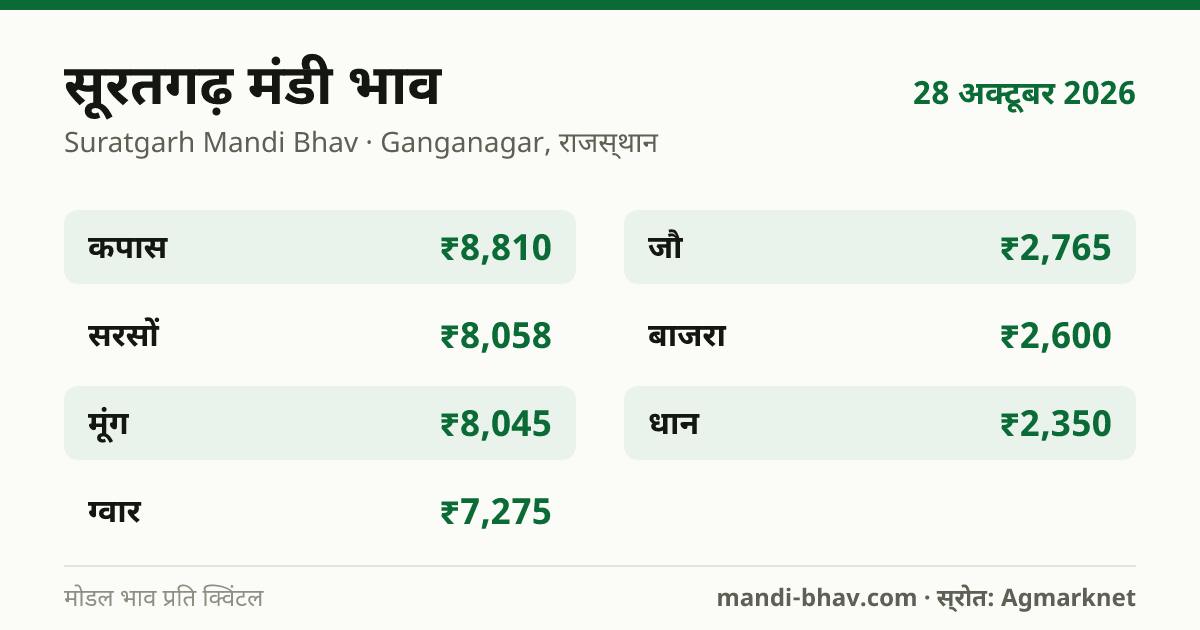 सूरतगढ़ मंडी भाव 28 अक्टूबर 2026: फसलवार मोडल रेट प्रति क्विंटल