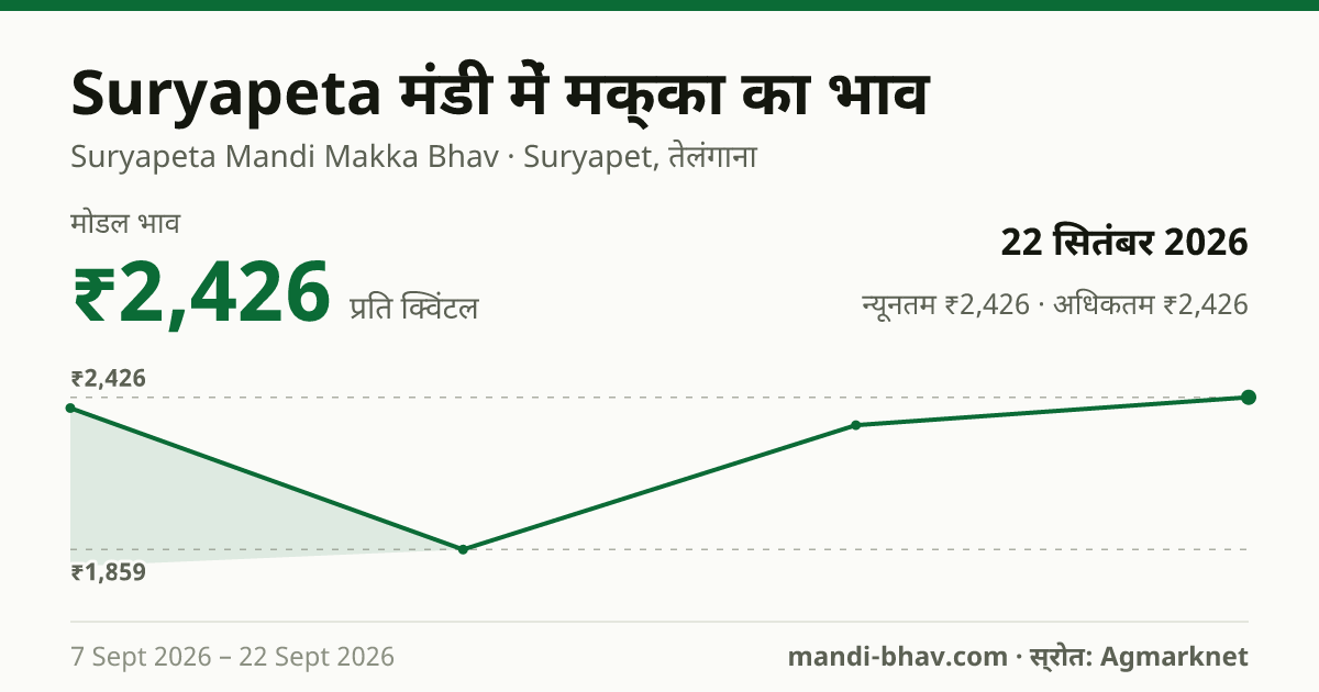 Suryapeta मंडी में मक्का का भाव 22 सितंबर 2026: मोडल ₹2,426 प्रति क्विंटल, भाव के रुझान का चार्ट