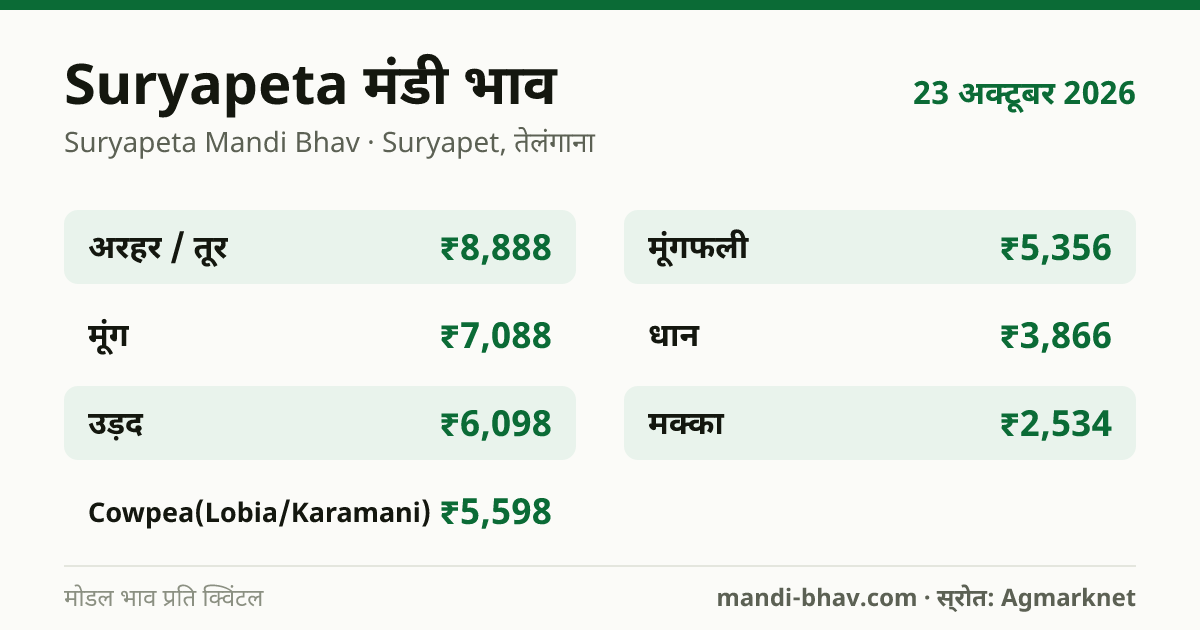 Suryapeta मंडी भाव 23 अक्टूबर 2026: फसलवार मोडल रेट प्रति क्विंटल