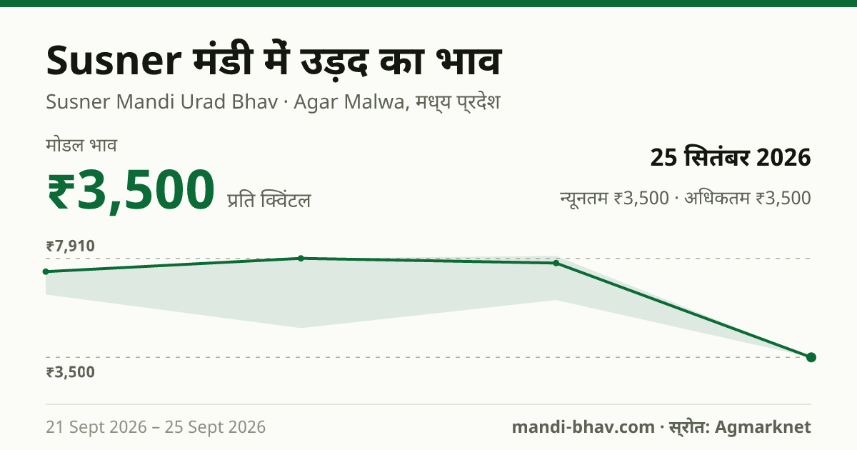 Susner मंडी में उड़द का भाव 25 सितंबर 2026: मोडल ₹3,500 प्रति क्विंटल, भाव के रुझान का चार्ट