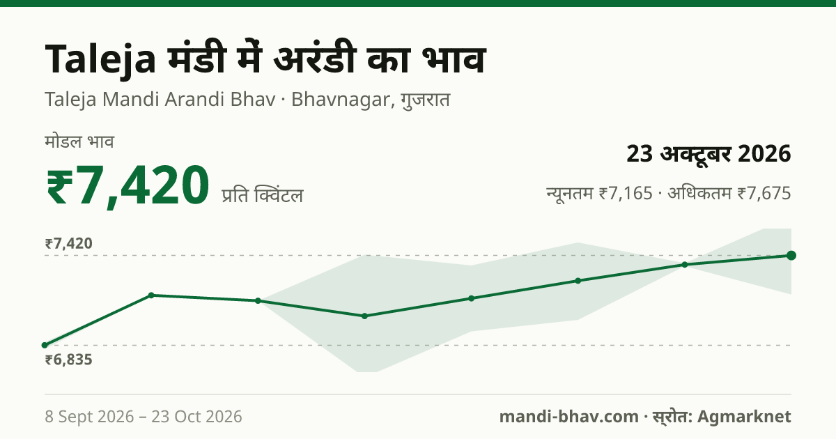 Taleja मंडी में Castor Seed का भाव 23 अक्टूबर 2026: मोडल ₹7,420 प्रति क्विंटल, भाव के रुझान का चार्ट