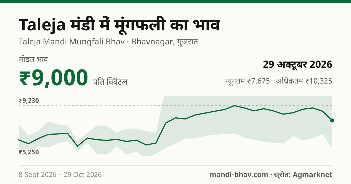 Taleja मंडी में मूंगफली का भाव 29 अक्टूबर 2026: मोडल ₹9,000 प्रति क्विंटल, भाव के रुझान का चार्ट