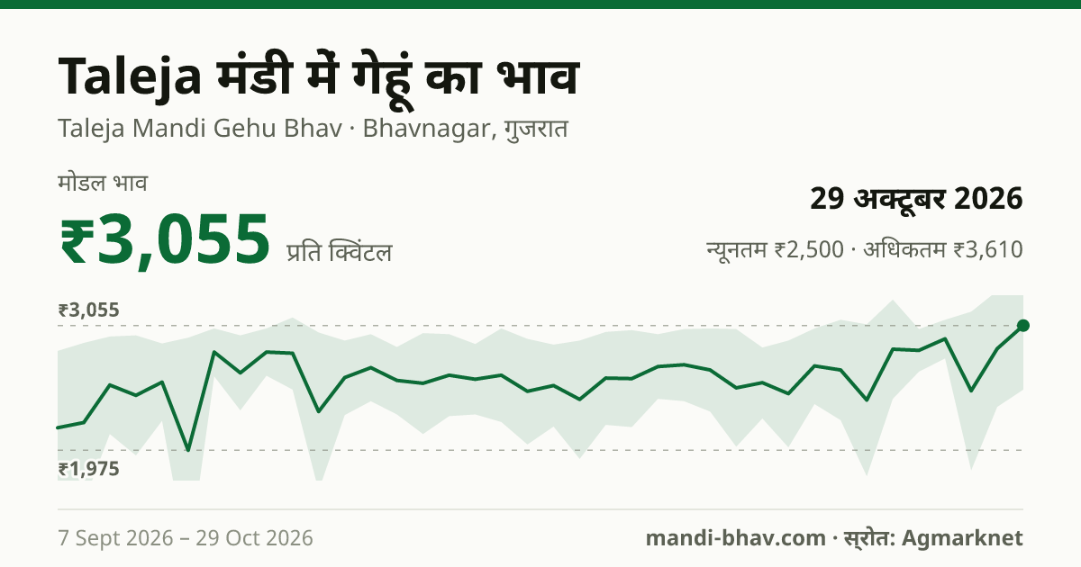 Taleja मंडी में गेहूं का भाव 29 अक्टूबर 2026: मोडल ₹3,055 प्रति क्विंटल, भाव के रुझान का चार्ट