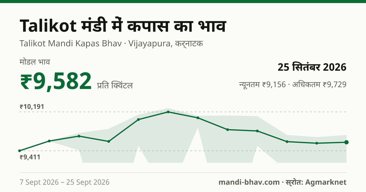 Talikot मंडी में कपास का भाव 25 सितंबर 2026: मोडल ₹9,582 प्रति क्विंटल, भाव के रुझान का चार्ट