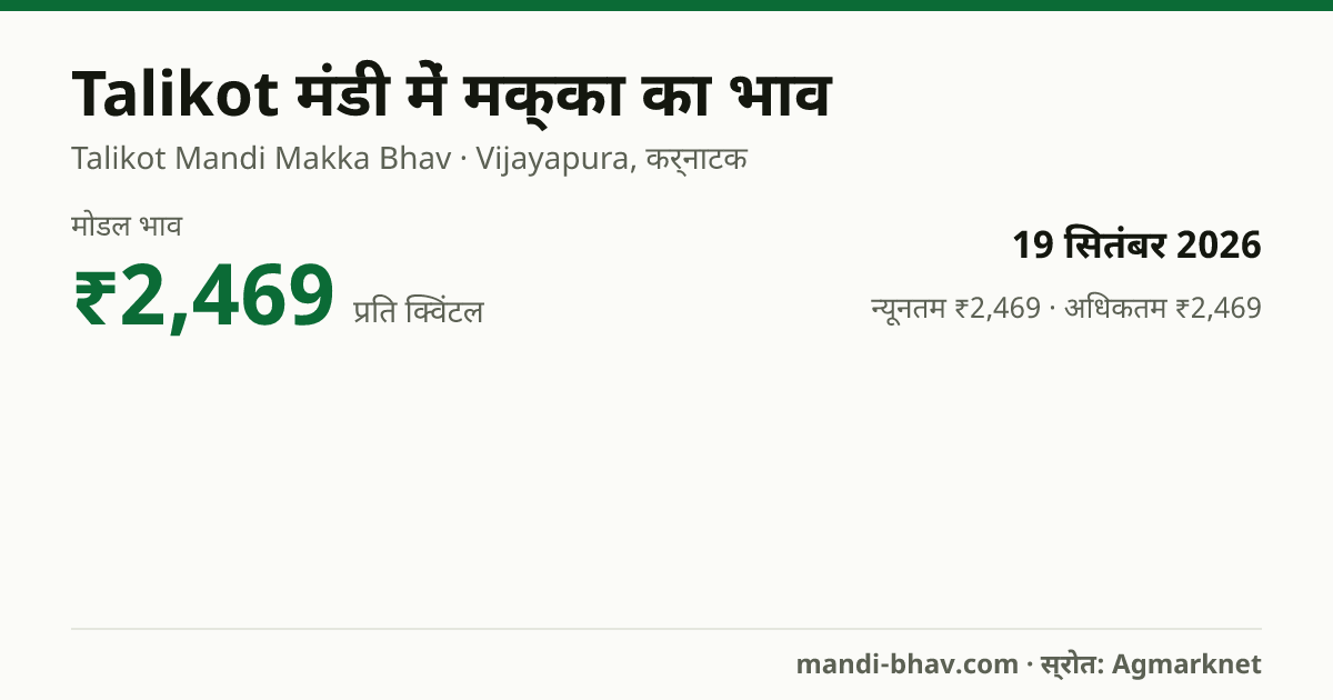 Talikot मंडी में मक्का का भाव 19 सितंबर 2026: मोडल ₹2,469 प्रति क्विंटल, भाव के रुझान का चार्ट