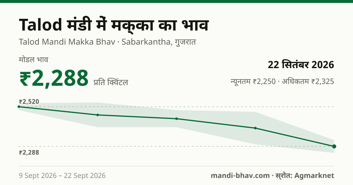 Talod मंडी में मक्का का भाव 22 सितंबर 2026: मोडल ₹2,288 प्रति क्विंटल, भाव के रुझान का चार्ट