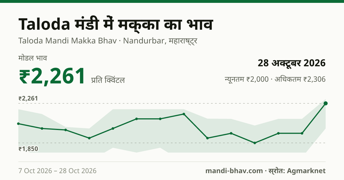 Taloda मंडी में मक्का का भाव 28 अक्टूबर 2026: मोडल ₹2,261 प्रति क्विंटल, भाव के रुझान का चार्ट