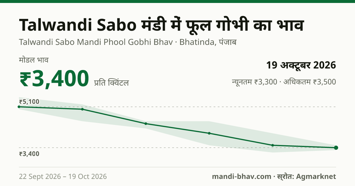 Talwandi Sabo मंडी में फूल गोभी का भाव 19 अक्टूबर 2026: मोडल ₹3,400 प्रति क्विंटल, भाव के रुझान का चार्ट