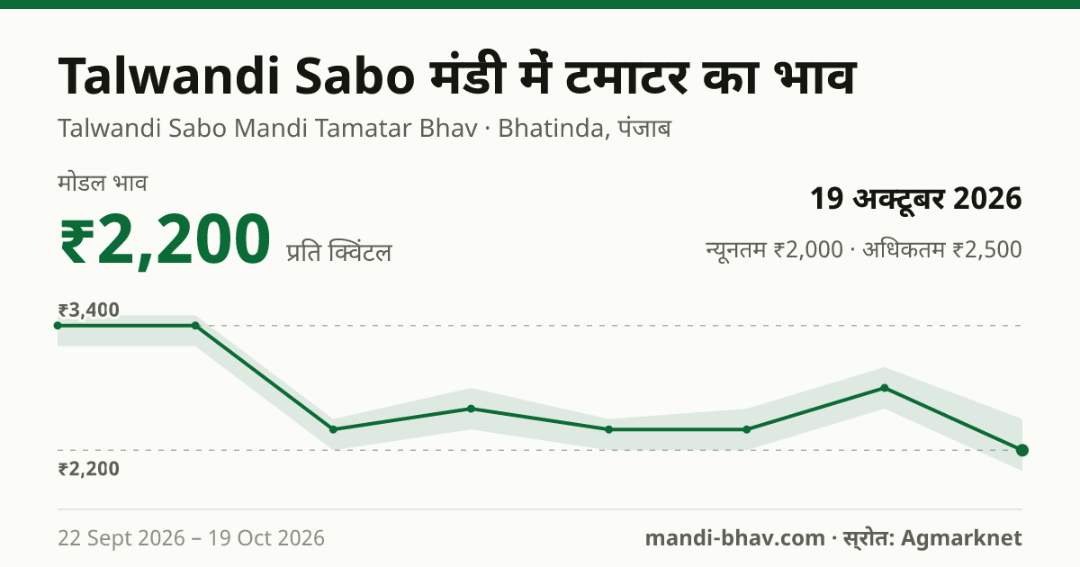Talwandi Sabo मंडी में टमाटर का भाव 19 अक्टूबर 2026: मोडल ₹2,200 प्रति क्विंटल, भाव के रुझान का चार्ट
