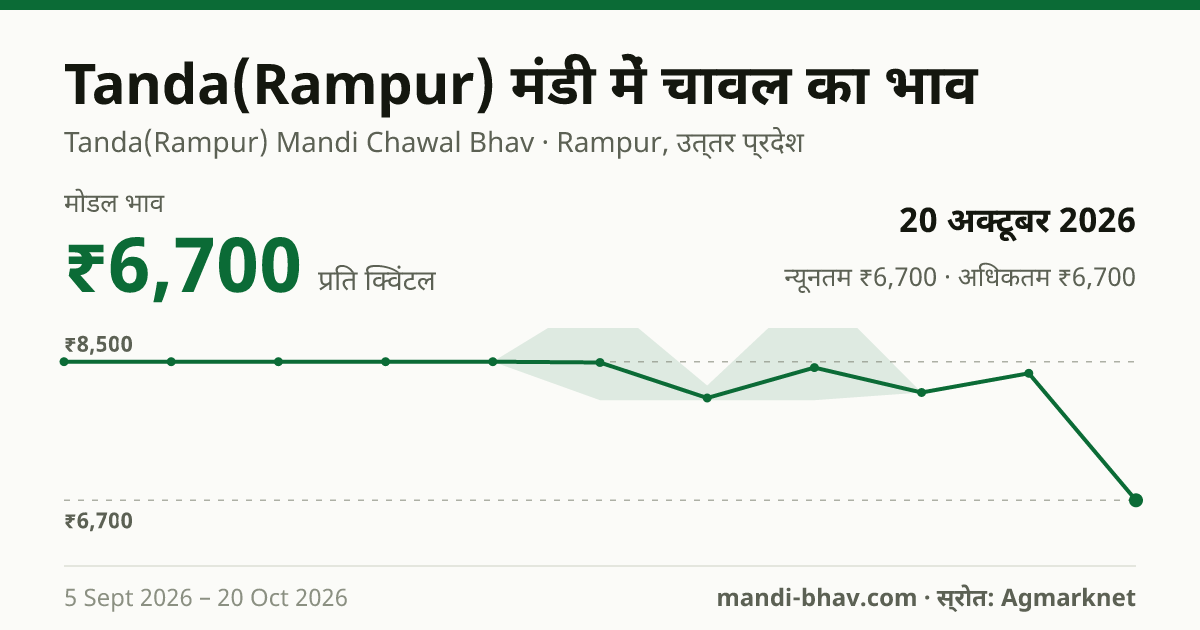 Tanda(Rampur) मंडी में चावल का भाव 20 अक्टूबर 2026: मोडल ₹6,700 प्रति क्विंटल, भाव के रुझान का चार्ट