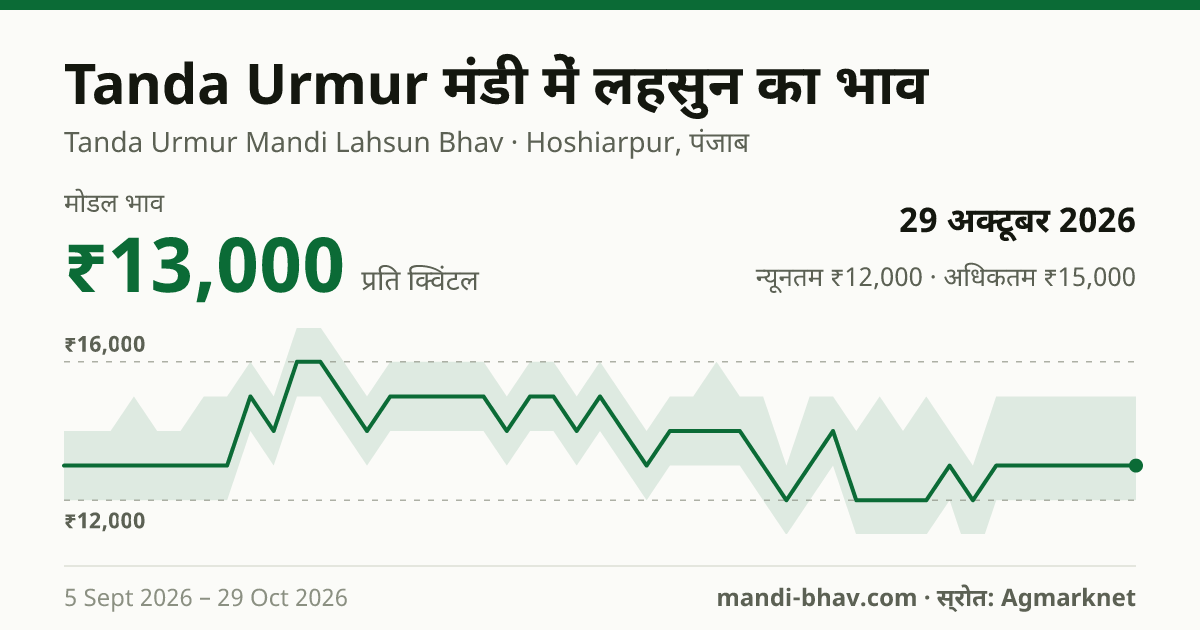Tanda Urmur मंडी में लहसुन का भाव 29 अक्टूबर 2026: मोडल ₹13,000 प्रति क्विंटल, भाव के रुझान का चार्ट