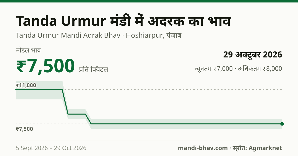 Tanda Urmur मंडी में अदरक का भाव 29 अक्टूबर 2026: मोडल ₹7,500 प्रति क्विंटल, भाव के रुझान का चार्ट
