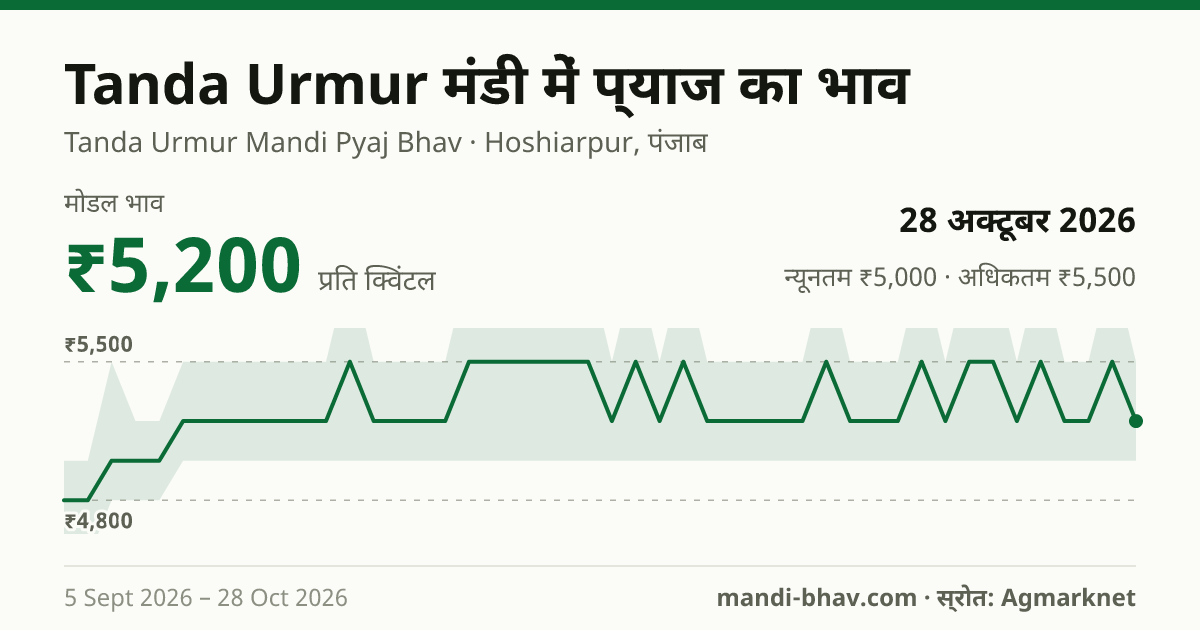 Tanda Urmur मंडी में प्याज का भाव 28 अक्टूबर 2026: मोडल ₹5,200 प्रति क्विंटल, भाव के रुझान का चार्ट