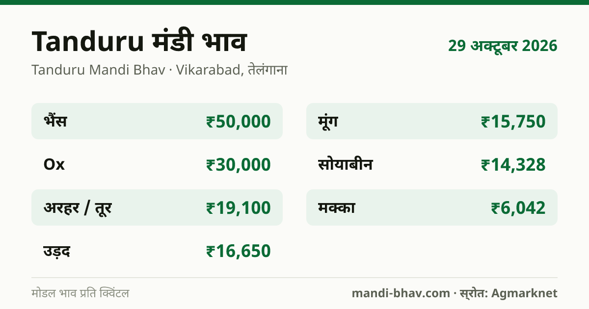Tanduru मंडी भाव 29 अक्टूबर 2026: फसलवार मोडल रेट प्रति क्विंटल