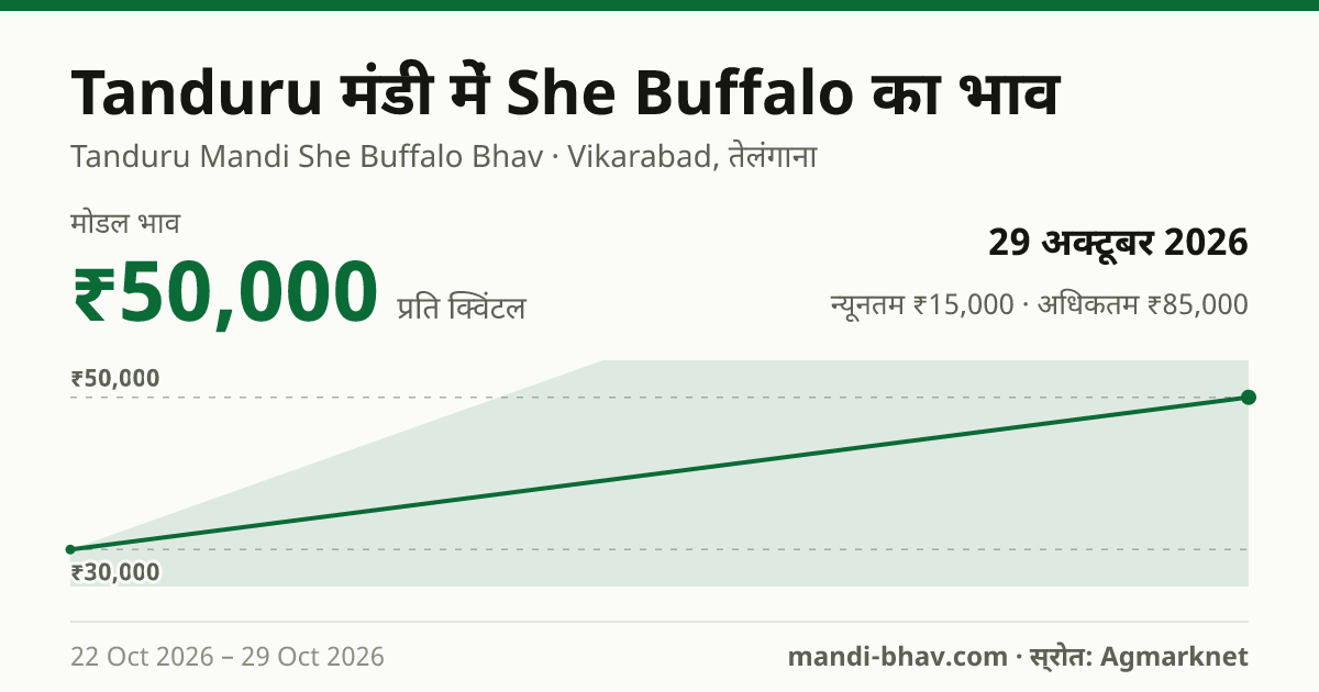 Tanduru मंडी में She Buffalo का भाव 29 अक्टूबर 2026: मोडल ₹50,000 प्रति क्विंटल, भाव के रुझान का चार्ट