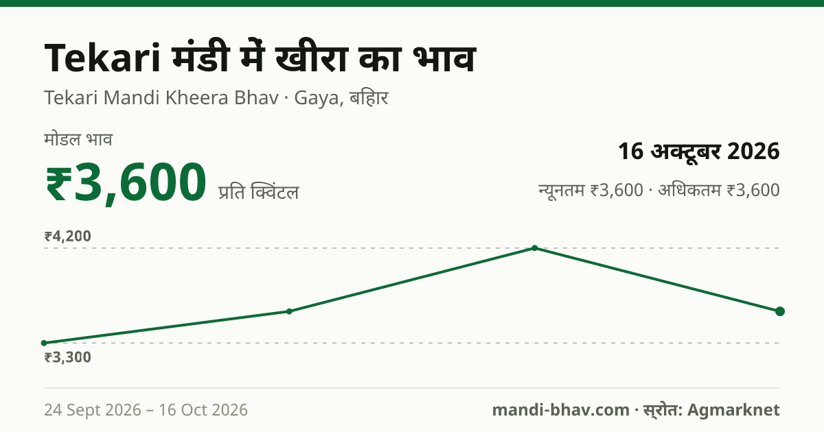 Tekari मंडी में खीरा का भाव 16 अक्टूबर 2026: मोडल ₹3,600 प्रति क्विंटल, भाव के रुझान का चार्ट