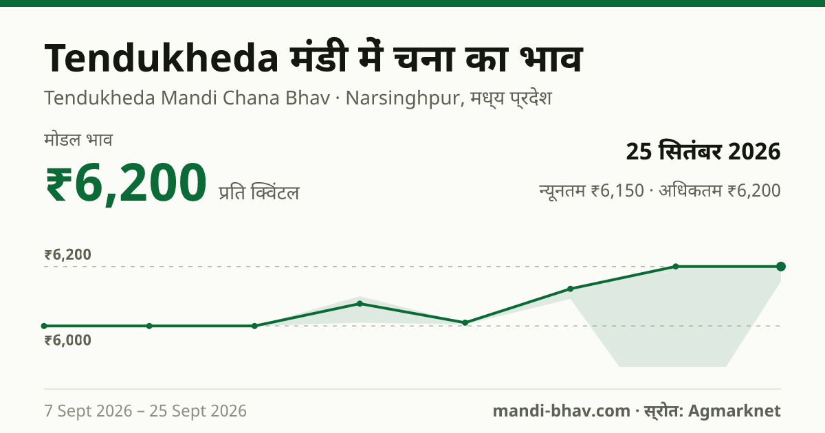 Tendukheda मंडी में चना का भाव 25 सितंबर 2026: मोडल ₹6,200 प्रति क्विंटल, भाव के रुझान का चार्ट