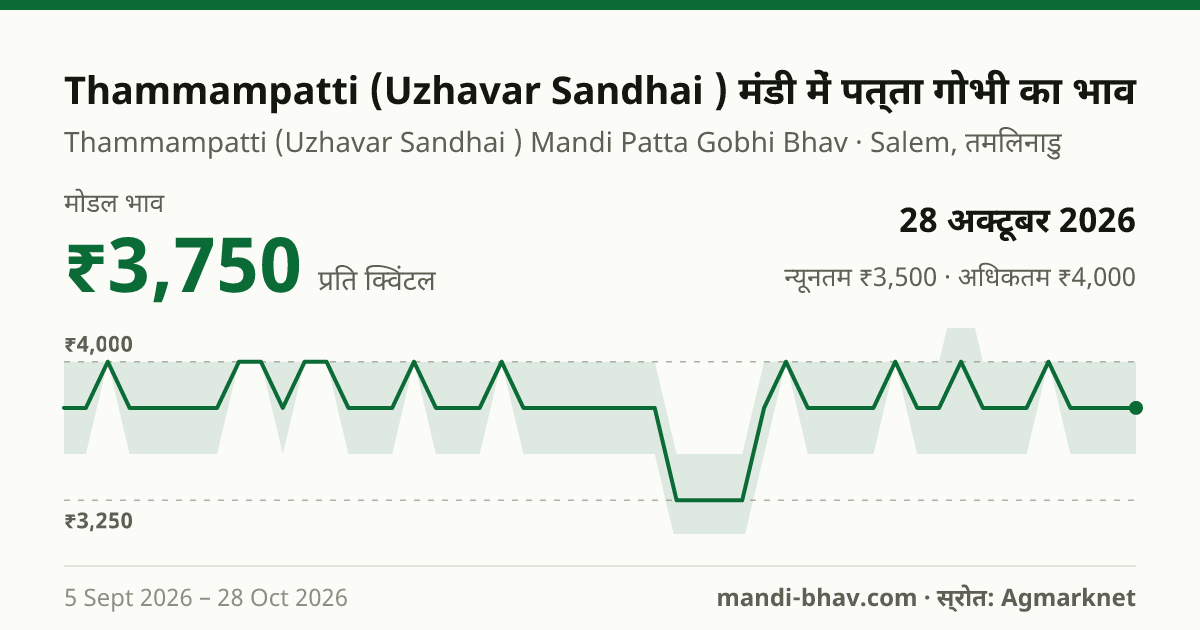 Thammampatti (Uzhavar Sandhai ) मंडी में पत्ता गोभी का भाव 28 अक्टूबर 2026: मोडल ₹3,750 प्रति क्विंटल, भाव के रुझान का चार्ट