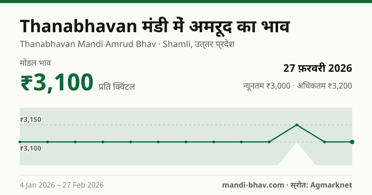 Thanabhavan मंडी में अमरूद का भाव 27 फ़रवरी 2026: मोडल ₹3,100 प्रति क्विंटल, भाव के रुझान का चार्ट