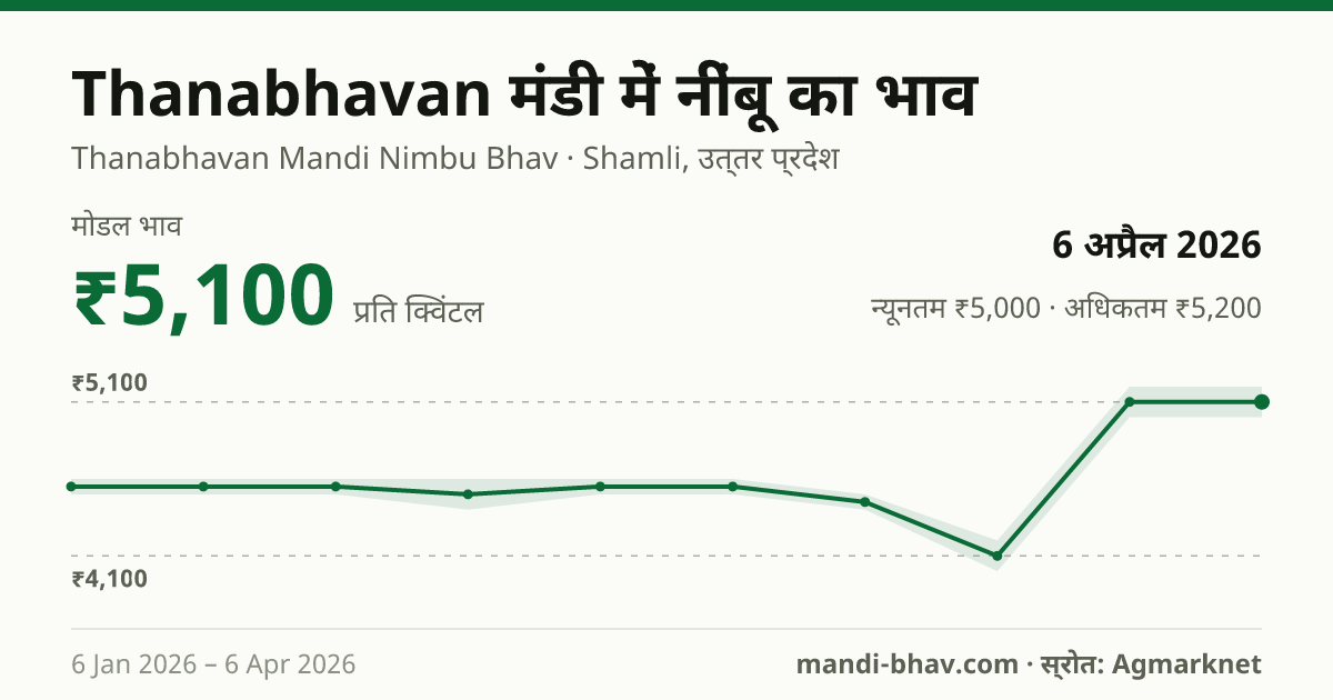 Thanabhavan मंडी में नींबू का भाव 6 अप्रैल 2026: मोडल ₹5,100 प्रति क्विंटल, भाव के रुझान का चार्ट