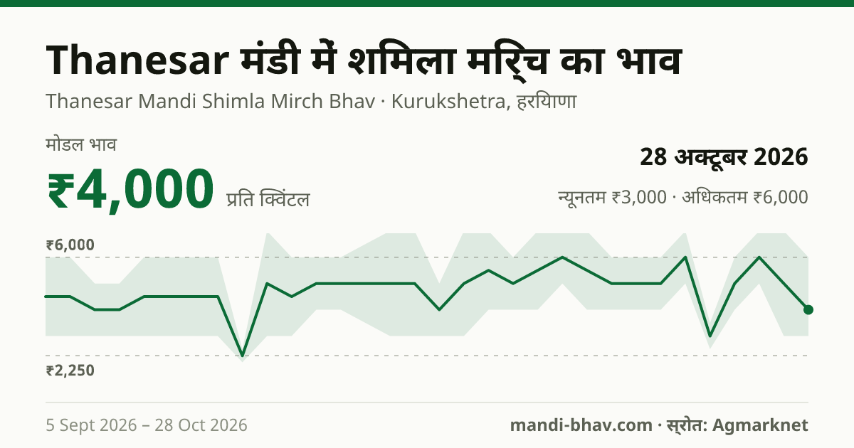 Thanesar मंडी में शिमला मिर्च का भाव 28 अक्टूबर 2026: मोडल ₹4,000 प्रति क्विंटल, भाव के रुझान का चार्ट