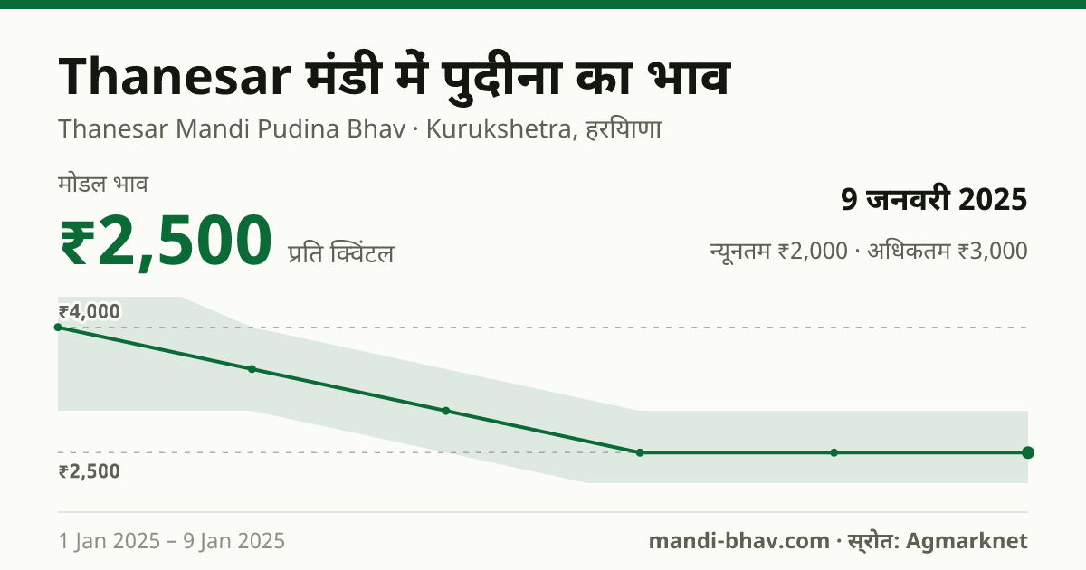 Thanesar मंडी में पुदीना का भाव 9 जनवरी 2025: मोडल ₹2,500 प्रति क्विंटल, भाव के रुझान का चार्ट