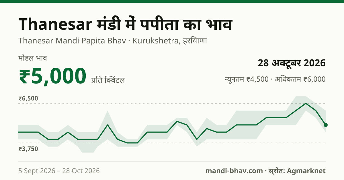 Thanesar मंडी में पपीता का भाव 28 अक्टूबर 2026: मोडल ₹5,000 प्रति क्विंटल, भाव के रुझान का चार्ट