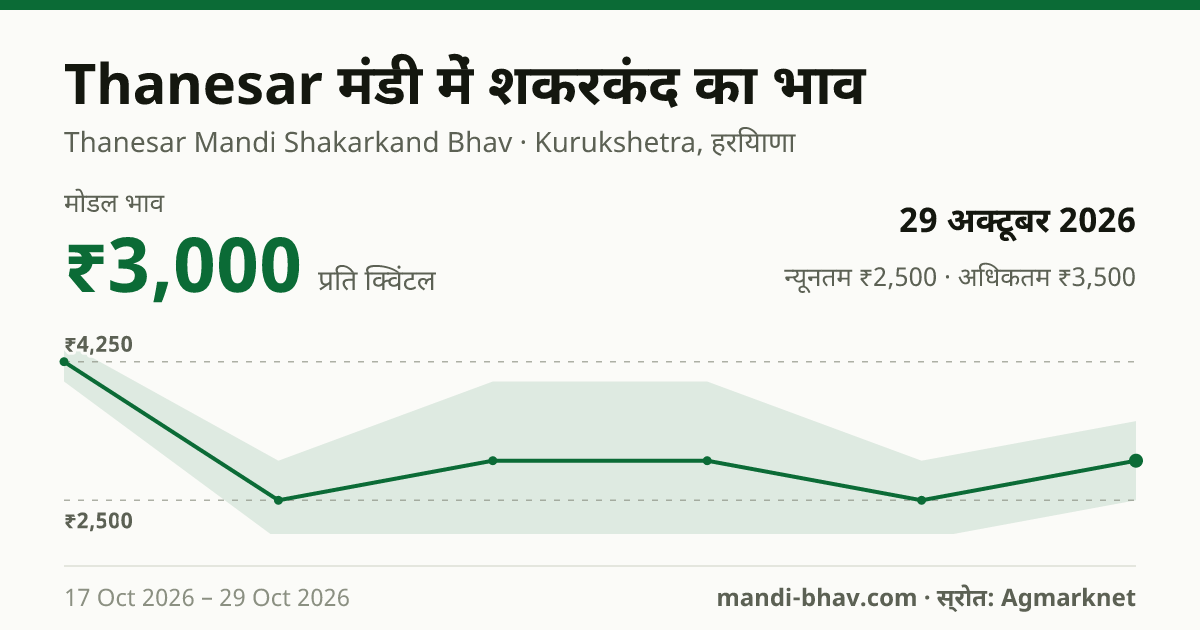 Thanesar मंडी में शकरकंद का भाव 29 अक्टूबर 2026: मोडल ₹3,000 प्रति क्विंटल, भाव के रुझान का चार्ट