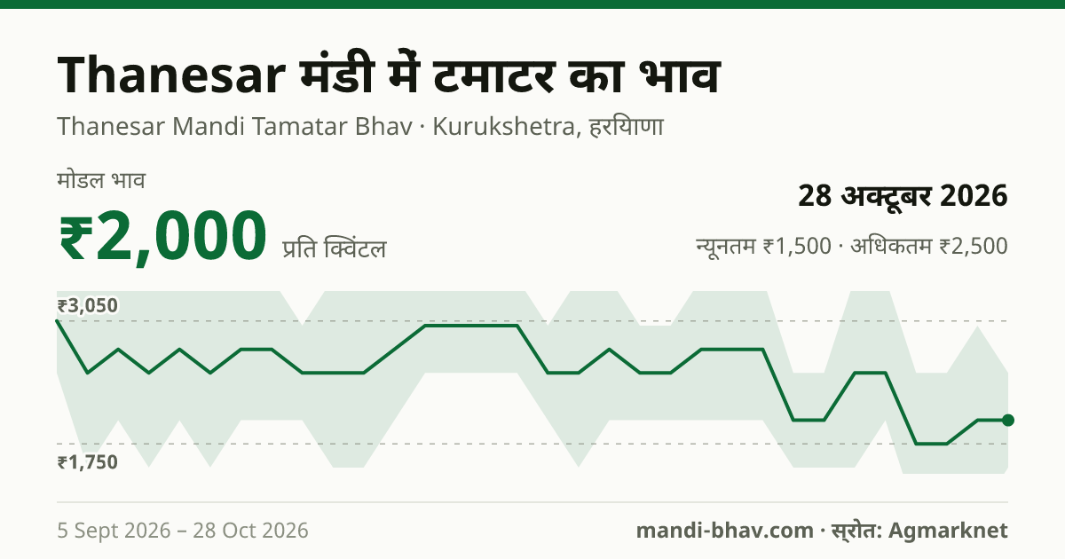 Thanesar मंडी में टमाटर का भाव 28 अक्टूबर 2026: मोडल ₹2,000 प्रति क्विंटल, भाव के रुझान का चार्ट