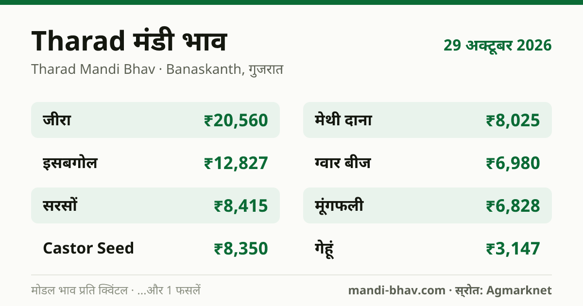Tharad मंडी भाव 29 अक्टूबर 2026: फसलवार मोडल रेट प्रति क्विंटल