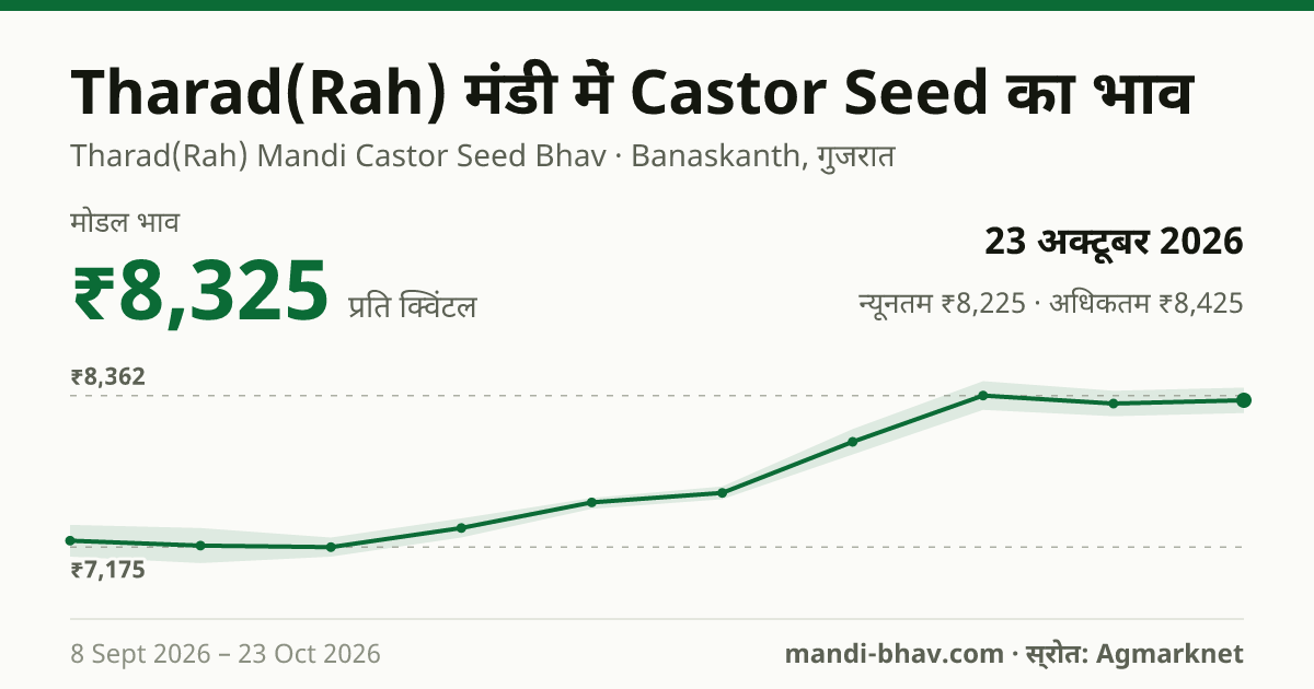Tharad(Rah) मंडी में Castor Seed का भाव 23 अक्टूबर 2026: मोडल ₹8,325 प्रति क्विंटल, भाव के रुझान का चार्ट