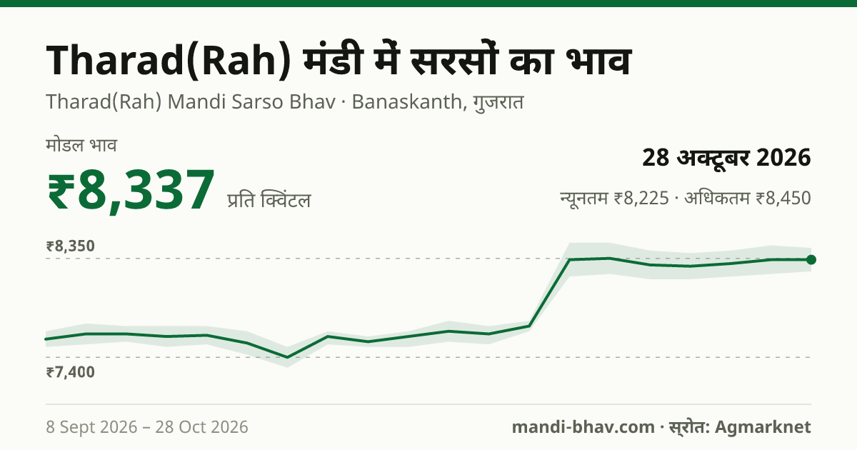 Tharad(Rah) मंडी में सरसों का भाव 28 अक्टूबर 2026: मोडल ₹8,337 प्रति क्विंटल, भाव के रुझान का चार्ट