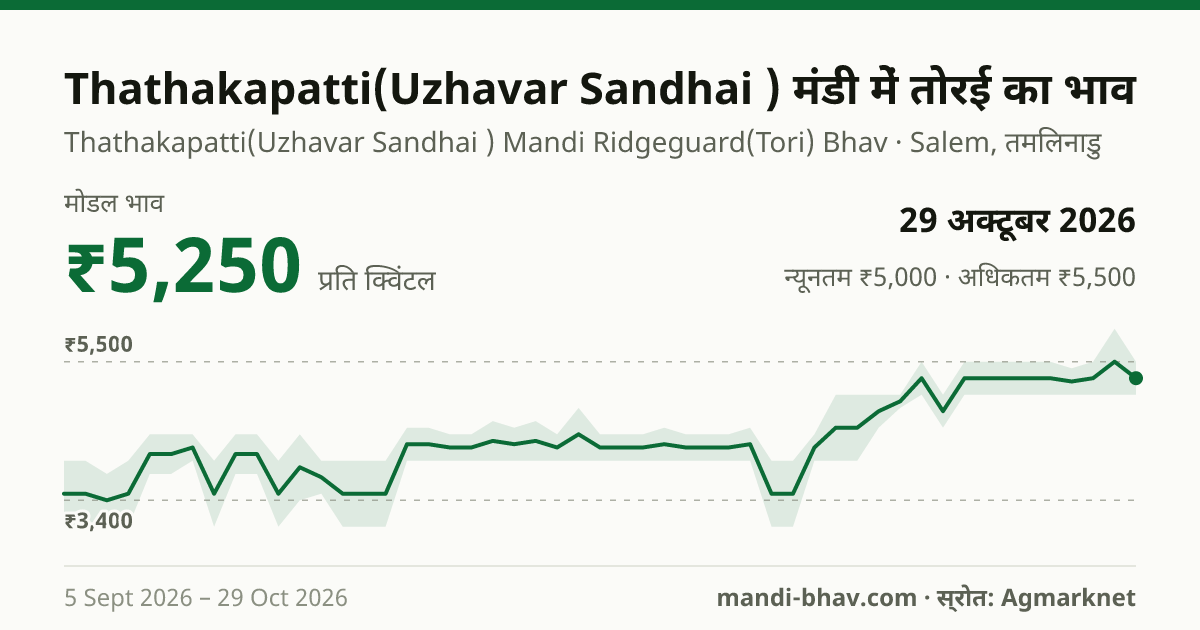 Thathakapatti(Uzhavar Sandhai ) मंडी में तोरई का भाव 29 अक्टूबर 2026: मोडल ₹5,250 प्रति क्विंटल, भाव के रुझान का चार्ट