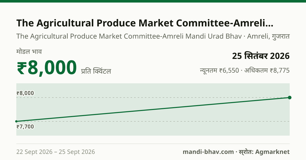 The Agricultural Produce Market Committee-Amreli मंडी में उड़द का भाव 25 सितंबर 2026: मोडल ₹8,000 प्रति क्विंटल, भाव के रुझान का चार्ट