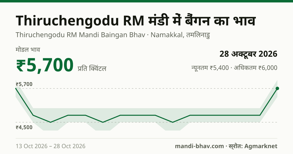 Thiruchengodu RM मंडी में बैंगन का भाव 28 अक्टूबर 2026: मोडल ₹5,700 प्रति क्विंटल, भाव के रुझान का चार्ट