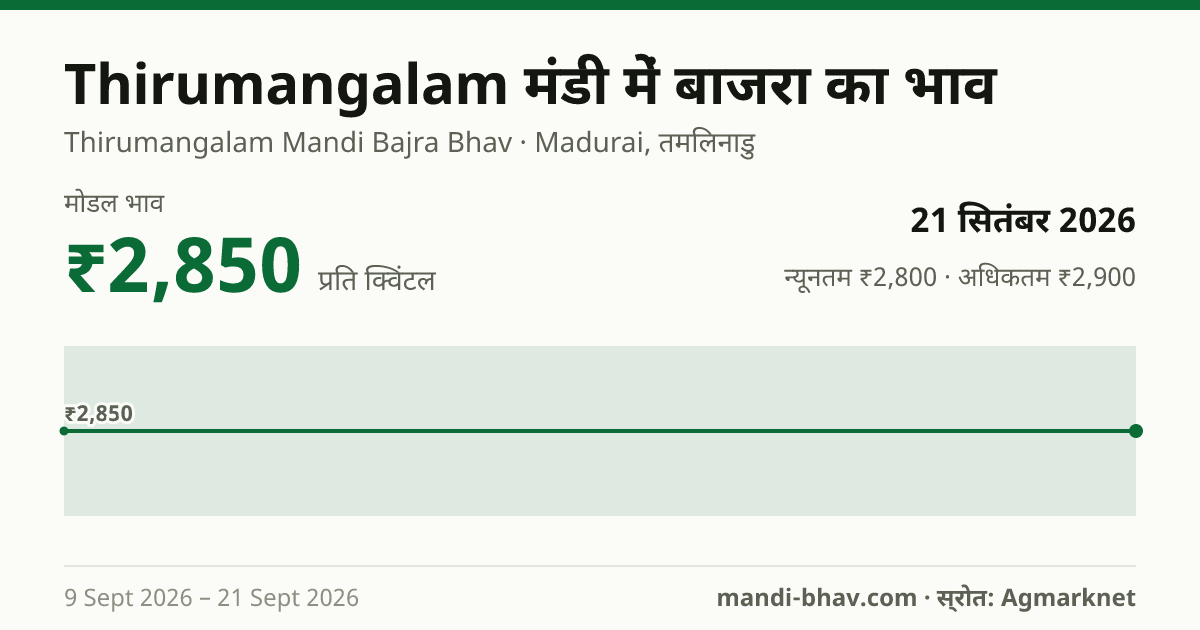Thirumangalam मंडी में बाजरा का भाव 21 सितंबर 2026: मोडल ₹2,850 प्रति क्विंटल, भाव के रुझान का चार्ट