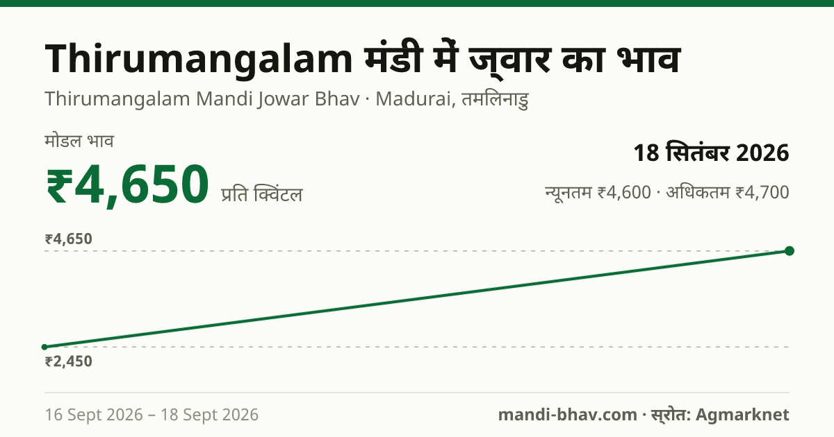 Thirumangalam मंडी में ज्वार का भाव 18 सितंबर 2026: मोडल ₹4,650 प्रति क्विंटल, भाव के रुझान का चार्ट
