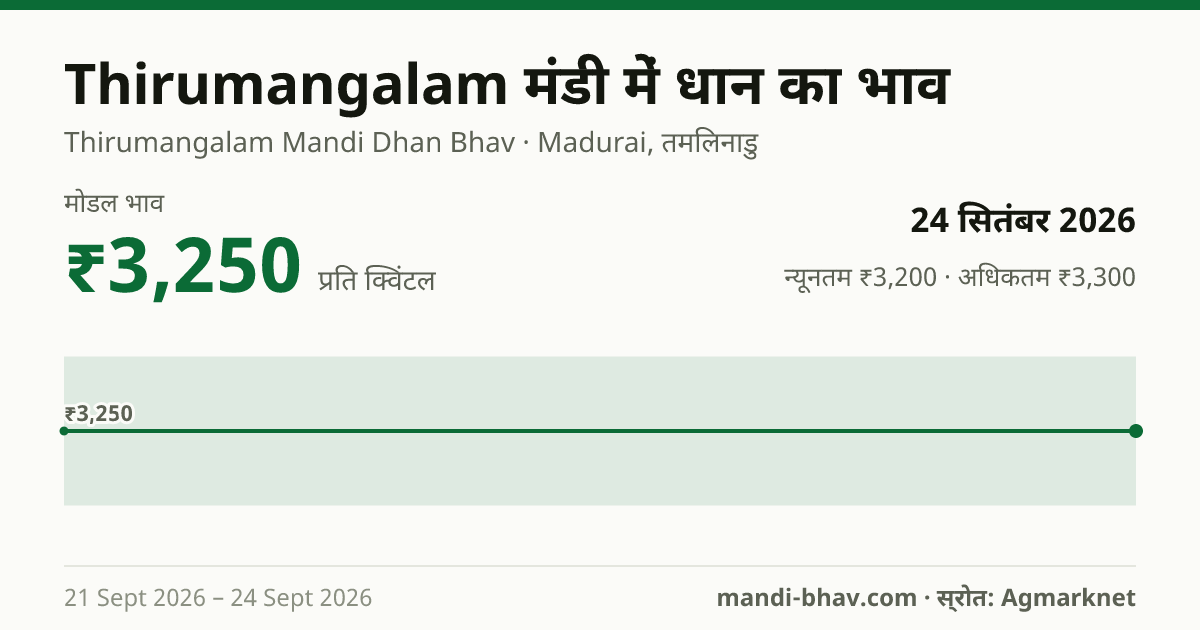 Thirumangalam मंडी में धान का भाव 24 सितंबर 2026: मोडल ₹3,250 प्रति क्विंटल, भाव के रुझान का चार्ट