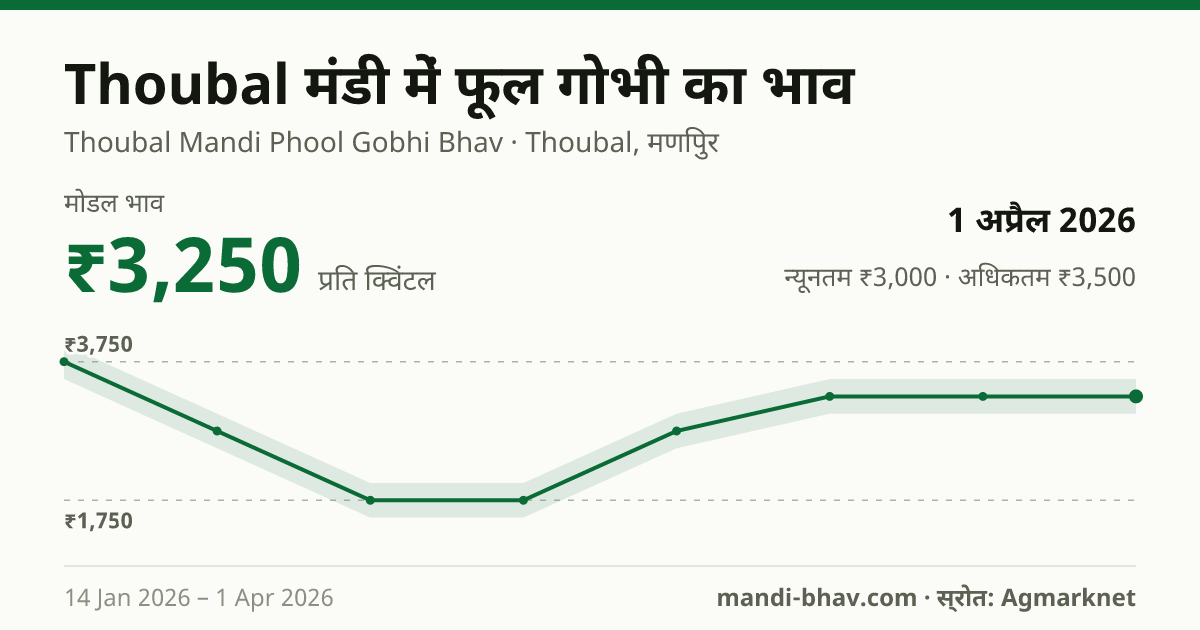 Thoubal मंडी में फूल गोभी का भाव 1 अप्रैल 2026: मोडल ₹3,250 प्रति क्विंटल, भाव के रुझान का चार्ट