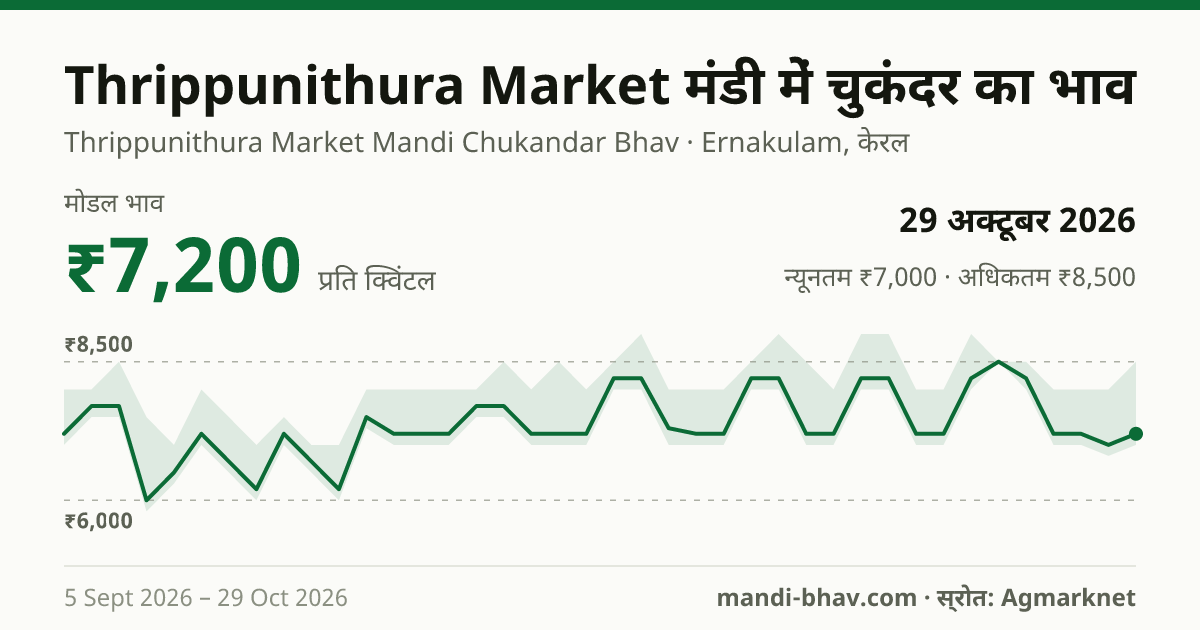 Thrippunithura Market मंडी में चुकंदर का भाव 29 अक्टूबर 2026: मोडल ₹7,200 प्रति क्विंटल, भाव के रुझान का चार्ट