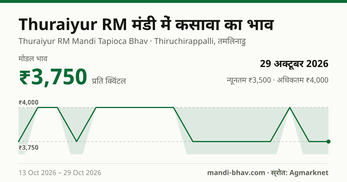 Thuraiyur RM मंडी में कसावा का भाव 29 अक्टूबर 2026: मोडल ₹3,750 प्रति क्विंटल, भाव के रुझान का चार्ट